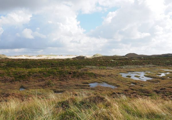 HABITAT CLASSIFICATION IN THE UK